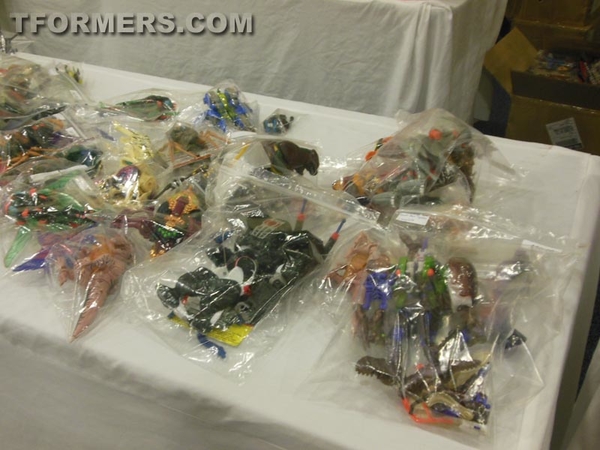 BotCon 2013   The Transformers Convention Dealer Room Image Gallery   OVER 500 Images  (184 of 582)